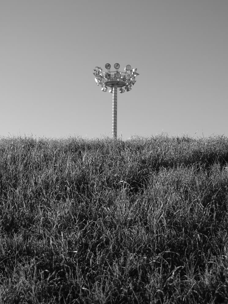 A lone stadium floodlight rising above a field of tall grass